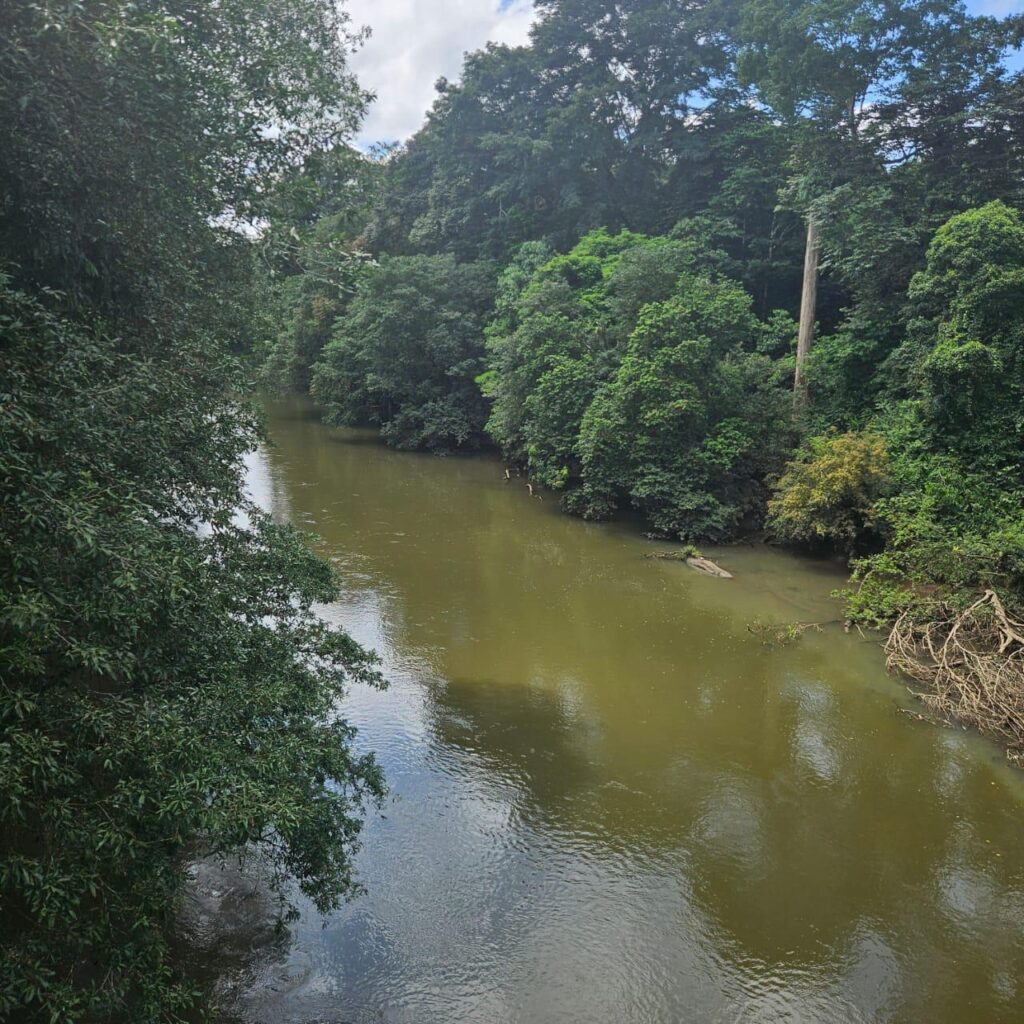 foto7