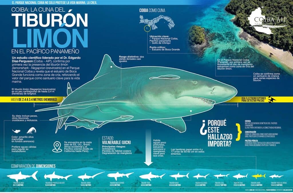slider-1-tiburon-limon